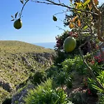 Baglio Cracchiolo Da Tuzzo - Casa Il Limone 아파트 *